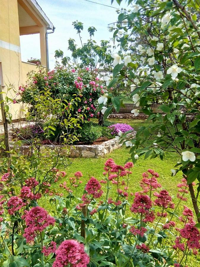 Horizont Apartman Kukci Dış mekan fotoğraf
